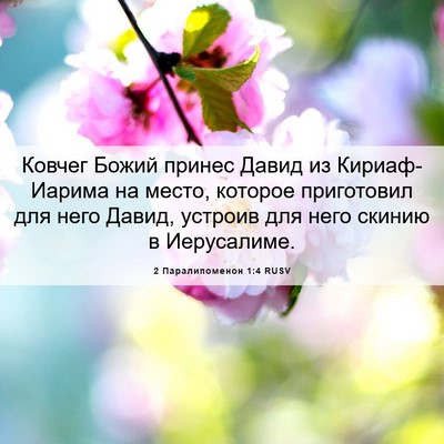 Picture 06 - 2 Паралипоменон 1:4 RUSV - Ковчег Божий принес Давид - Bible Verse Picture