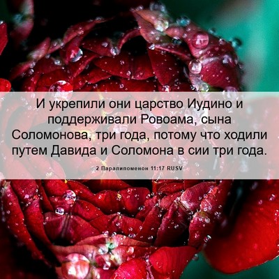 Picture 06 - 2 Паралипоменон 11:17 RUSV - И укрепили они царство - Bible Verse Picture