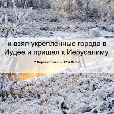 Picture 06 - 2 Паралипоменон 12:4 RUSV - и взял укрепленные города - Bible Verse Picture