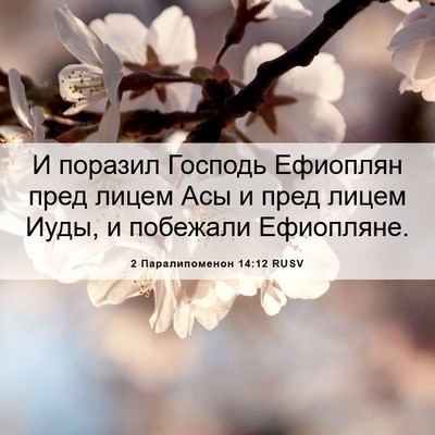 Picture 06 - 2 Паралипоменон 14:12 RUSV - И поразил Господь Ефиоплян - Bible Verse Picture