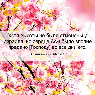 Picture 06 - 2 Паралипоменон 15:17 RUSV - Хотя высоты не были - Bible Verse Picture