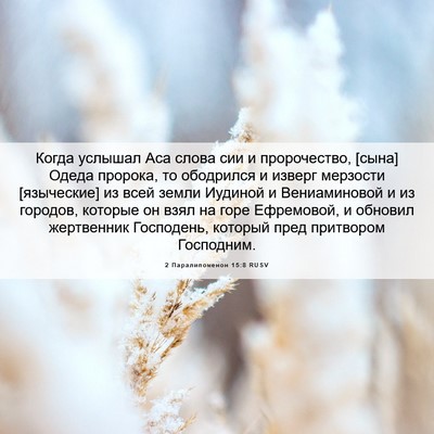 Picture 06 - 2 Паралипоменон 15:8 RUSV - Когда услышал Аса слова - Bible Verse Picture