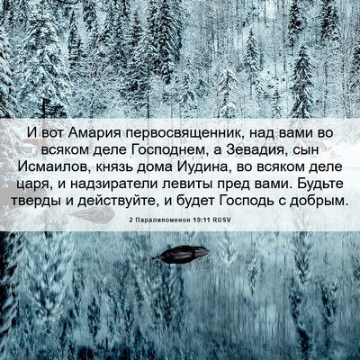 Picture 06 - 2 Паралипоменон 19:11 RUSV - И вот Амария - Bible Verse Picture