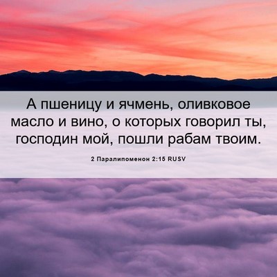 Picture 06 - 2 Паралипоменон 2:15 RUSV - А пшеницу и ячмень, - Bible Verse Picture