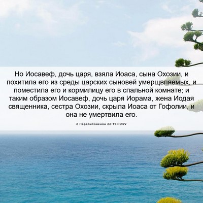 Picture 06 - 2 Паралипоменон 22:11 RUSV - Но Иосавеф, дочь царя, - Bible Verse Picture