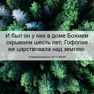 Picture 06 - 2 Паралипоменон 22:12 RUSV - И был он у них в доме Божием - Bible Verse Picture