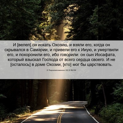 Picture 06 - 2 Паралипоменон 22:9 RUSV - И [велел] он искать Охозию, - Bible Verse Picture