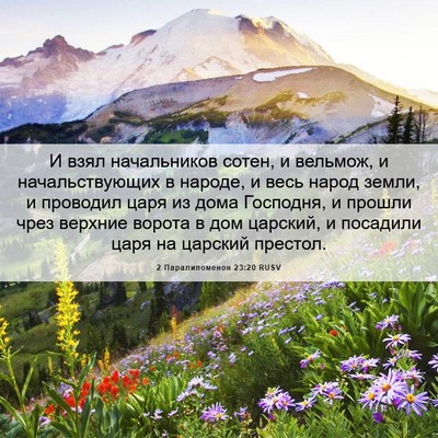 Picture 06 - 2 Паралипоменон 23:20 RUSV - И взял начальников сотен, и - Bible Verse Picture