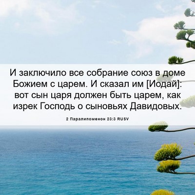 Picture 06 - 2 Паралипоменон 23:3 RUSV - И заключило все собрание - Bible Verse Picture