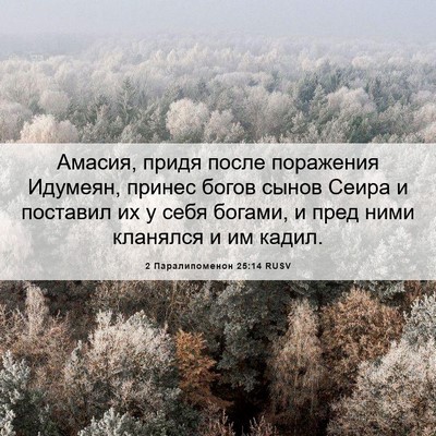 Picture 06 - 2 Паралипоменон 25:14 RUSV - Амасия, придя после - Bible Verse Picture