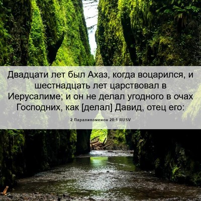 Picture 06 - 2 Паралипоменон 28:1 RUSV - Двадцати лет был Ахаз, - Bible Verse Picture