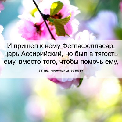 Picture 06 - 2 Паралипоменон 28:20 RUSV - И пришел к нему - Bible Verse Picture