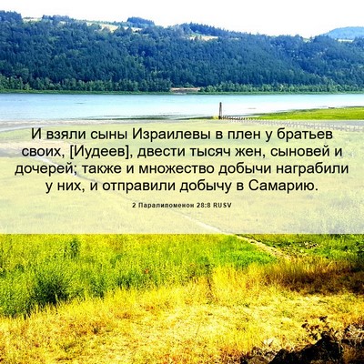 Picture 06 - 2 Паралипоменон 28:8 RUSV - И взяли сыны Израилевы в - Bible Verse Picture
