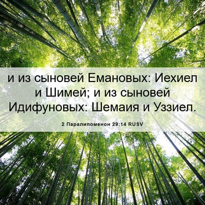 Picture 06 - 2 Паралипоменон 29:14 RUSV - и из сыновей Емановых: - Bible Verse Picture