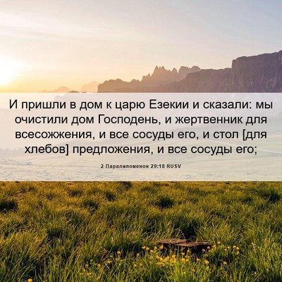 Picture 06 - 2 Паралипоменон 29:18 RUSV - И пришли в дом к царю - Bible Verse Picture