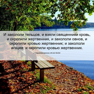 Picture 06 - 2 Паралипоменон 29:22 RUSV - И закололи тельцов, и взяли - Bible Verse Picture