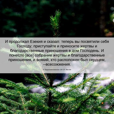 Picture 06 - 2 Паралипоменон 29:31 RUSV - И продолжал Езекия и - Bible Verse Picture