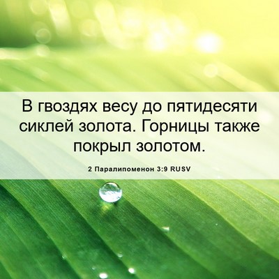 Picture 06 - 2 Паралипоменон 3:9 RUSV - В гвоздях весу до - Bible Verse Picture