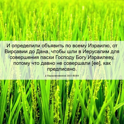 Picture 06 - 2 Паралипоменон 30:5 RUSV - И определили объявить по - Bible Verse Picture