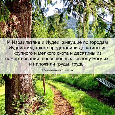 Picture 06 - 2 Паралипоменон 31:6 RUSV - И Израильтяне и Иудеи, - Bible Verse Picture