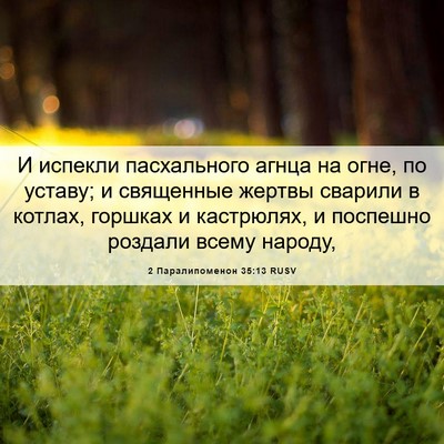 Picture 06 - 2 Паралипоменон 35:13 RUSV - И испекли пасхального - Bible Verse Picture