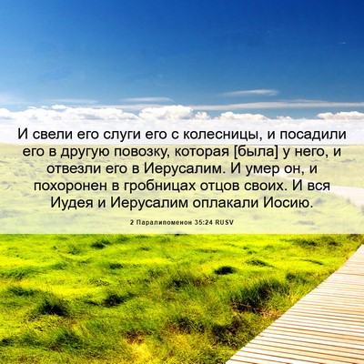 Picture 06 - 2 Паралипоменон 35:24 RUSV - И свели его слуги его с - Bible Verse Picture