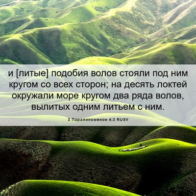Picture 06 - 2 Паралипоменон 4:3 RUSV - и [литые] подобия волов - Bible Verse Picture