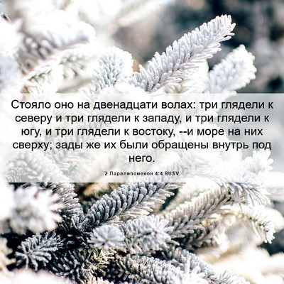 Picture 06 - 2 Паралипоменон 4:4 RUSV - Стояло оно на двенадцати - Bible Verse Picture