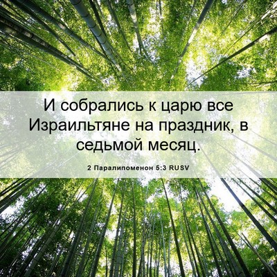Picture 06 - 2 Паралипоменон 5:3 RUSV - И собрались к царю все - Bible Verse Picture