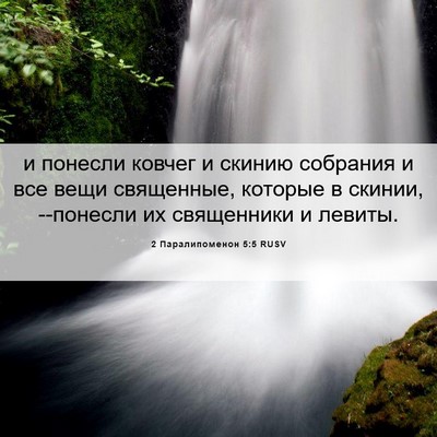 Picture 06 - 2 Паралипоменон 5:5 RUSV - и понесли ковчег и скинию - Bible Verse Picture