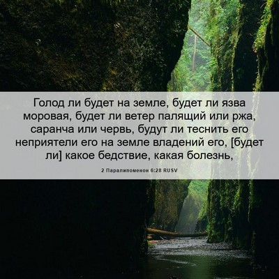 Picture 06 - 2 Паралипоменон 6:28 RUSV - Голод ли будет на земле, - Bible Verse Picture