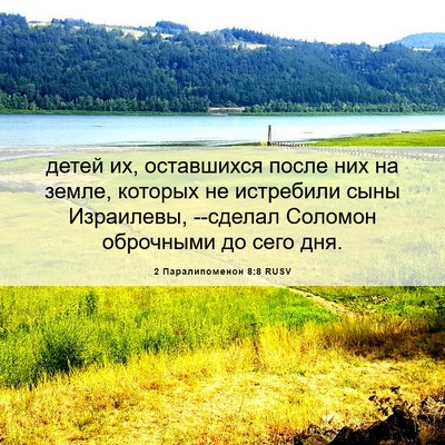 Picture 06 - 2 Паралипоменон 8:8 RUSV - детей их, оставшихся после - Bible Verse Picture