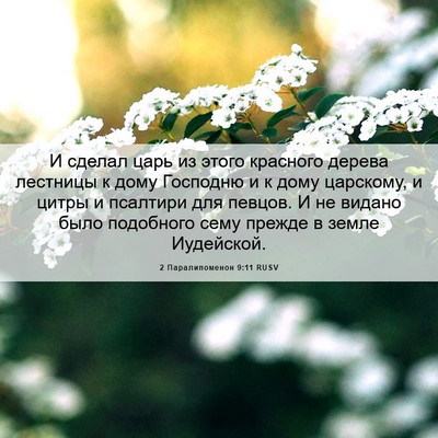 Picture 06 - 2 Паралипоменон 9:11 RUSV - И сделал царь из этого - Bible Verse Picture