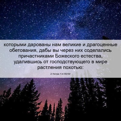 Picture 06 - 2 Петра 1:4 RUSV - которыми дарованы нам - Bible Verse Picture
