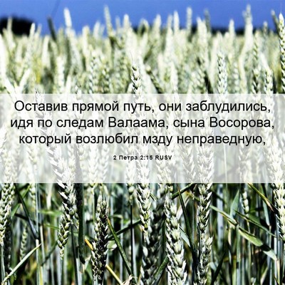 Picture 06 - 2 Петра 2:15 RUSV - Оставив прямой путь, они - Bible Verse Picture