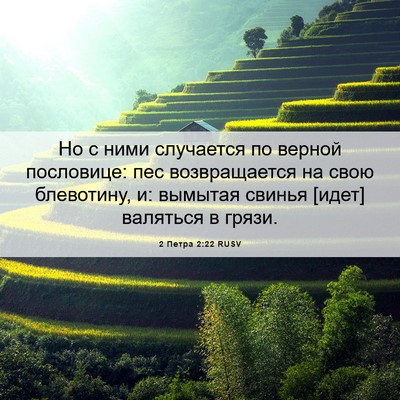 Picture 06 - 2 Петра 2:22 RUSV - Но с ними случается по - Bible Verse Picture