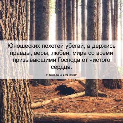 Picture 06 - 2 Тимофею 2:22 RUSV - Юношеских похотей убегай, - Bible Verse Picture