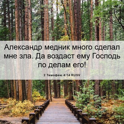 Picture 06 - 2 Тимофею 4:14 RUSV - Александр медник много - Bible Verse Picture