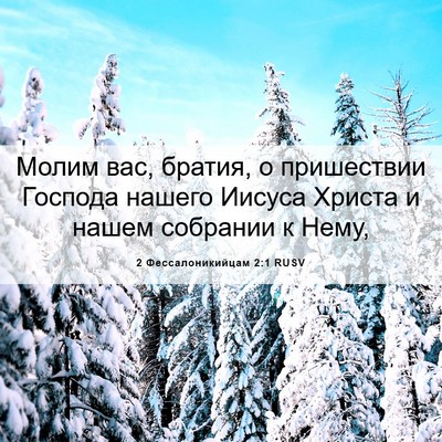 Picture 06 - 2 Фессалоникийцам 2:1 RUSV - Молим вас, братия, о - Bible Verse Picture