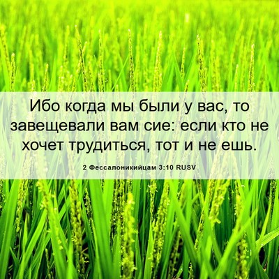 Picture 06 - 2 Фессалоникийцам 3:10 RUSV - Ибо когда мы были у вас, то - Bible Verse Picture