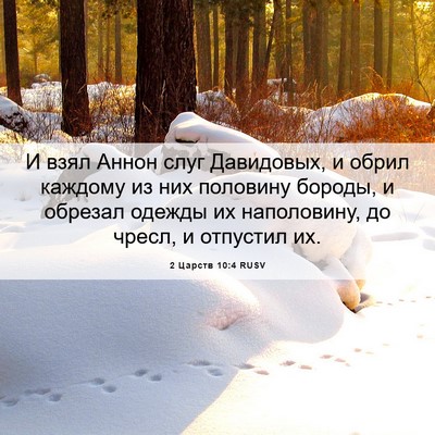 Picture 06 - 2 Царств 10:4 RUSV - И взял Аннон слуг - Bible Verse Picture