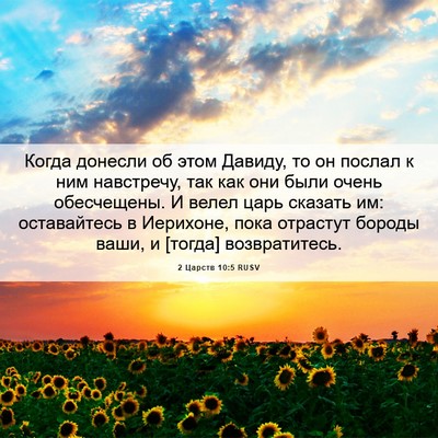 Picture 06 - 2 Царств 10:5 RUSV - Когда донесли об этом - Bible Verse Picture