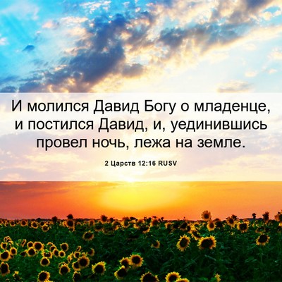 Picture 06 - 2 Царств 12:16 RUSV - И молился Давид Богу о - Bible Verse Picture