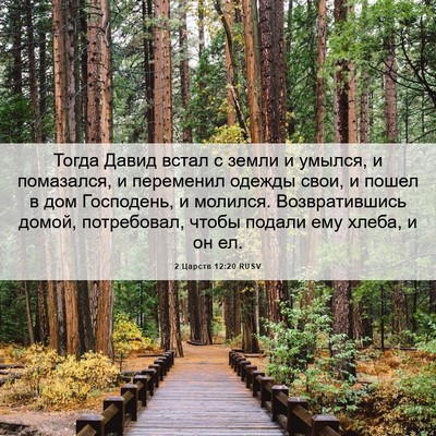 Picture 06 - 2 Царств 12:20 RUSV - Тогда Давид встал с земли и - Bible Verse Picture