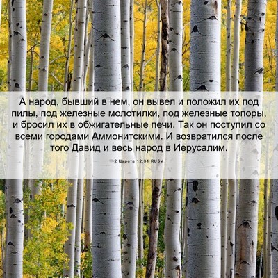 Picture 06 - 2 Царств 12:31 RUSV - А народ, бывший в нем, он - Bible Verse Picture