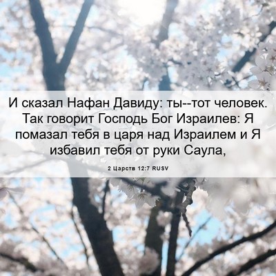 Picture 06 - 2 Царств 12:7 RUSV - И сказал Нафан Давиду: - Bible Verse Picture