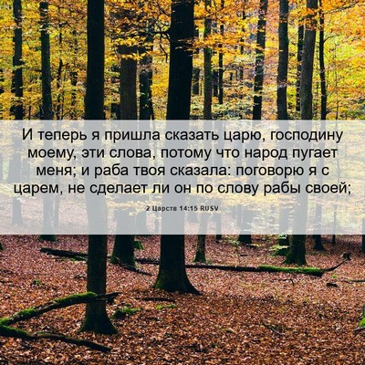 Picture 06 - 2 Царств 14:15 RUSV - И теперь я пришла сказать - Bible Verse Picture
