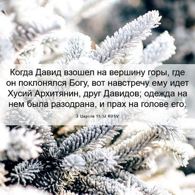 Picture 06 - 2 Царств 15:32 RUSV - Когда Давид взошел на - Bible Verse Picture