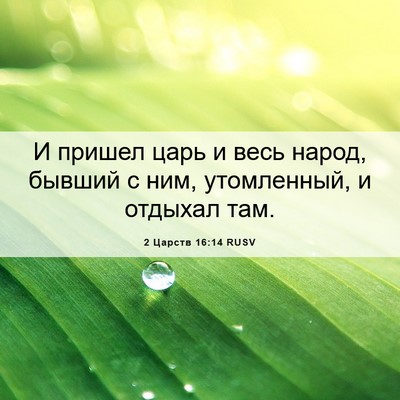 Picture 06 - 2 Царств 16:14 RUSV - И пришел царь и весь народ, - Bible Verse Picture