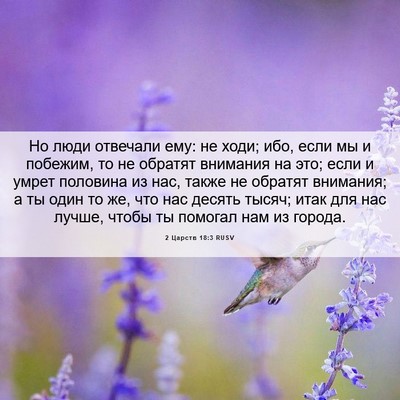 Picture 06 - 2 Царств 18:3 RUSV - Но люди отвечали ему: не - Bible Verse Picture